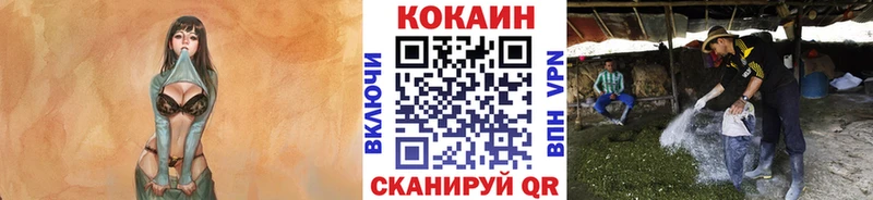 КОКАИН 98%  цена наркотик  площадка как зайти  Юхнов  блэк спрут зеркало 