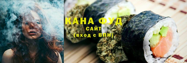 молекула духа Горнозаводск