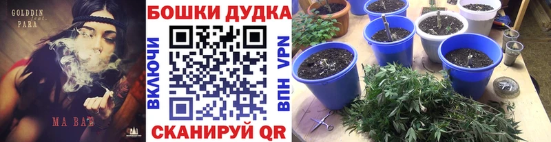 Каннабис индика  Юхнов 